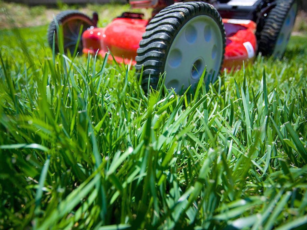 Steve Smith recommends sharpening your lawn mower’s blade and raising the mowing deck to 2 inches. (courtesy photo)
