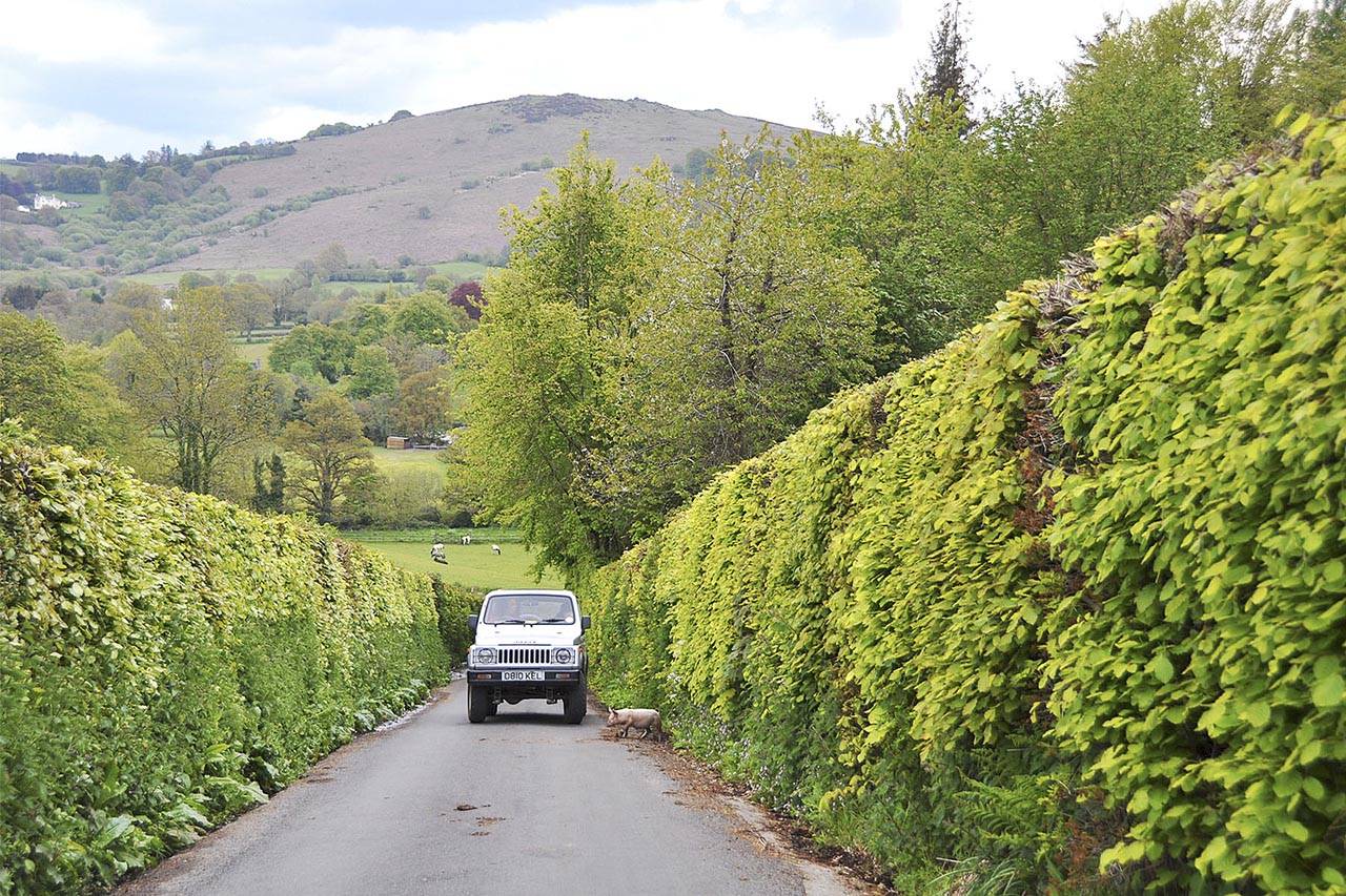 Driving the backroads (as here, in Dartmoor, England) yields surprises by the mile. (Rick Steves’ Europe)