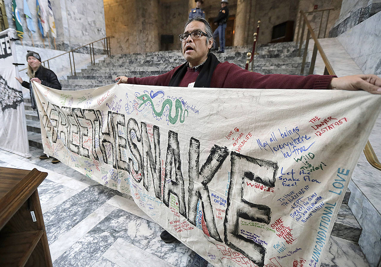 Elliott Moffett, a member of the Nez Perce Indian tribe, holds a sign that reads “Free The Snake” as he takes part in a rally organized by a coalition of environmental and tribal groups to promote the breaching of dams on the Snake River and other measures intended to benefit salmon and orcas, Feb. 4, at the Capitol in Olympia. The rally was part of the “Free Flowing Snake River” advocacy day. (AP Photo/Ted S. Warren)