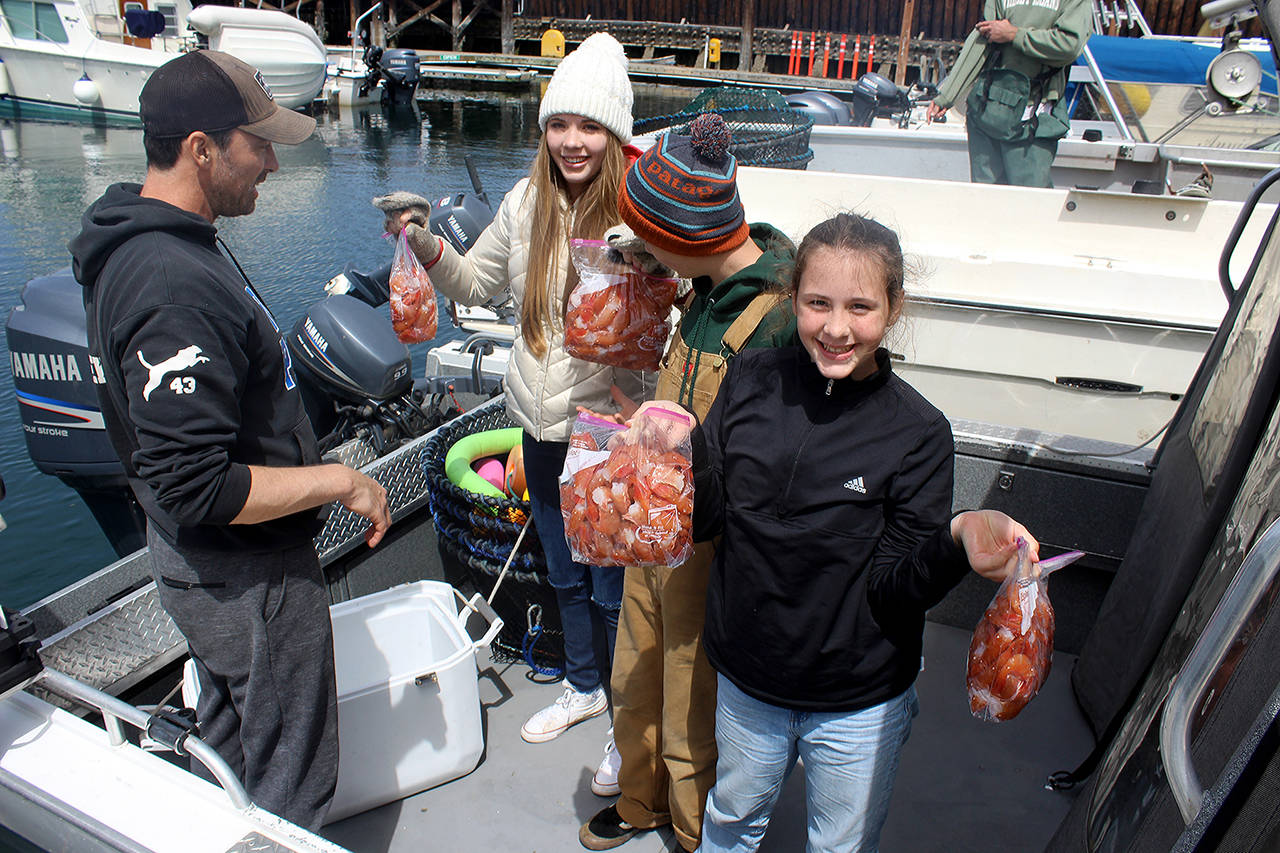 With limited days to catch spot shrimp, students sometimes skip school and adults play hooky from work, which is exactly what the Keyser family from Everett did Wednesday. Here, they show off the rewards of a successful spot shrimp expedition while docked at the Langley marina. (Patricia Guthrie / Whidbey News Group)