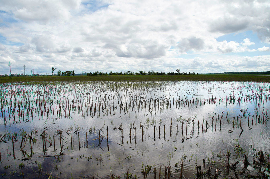 A field is flooded by waters from the Missouri River, in Bellevue, Nebraska, on Wednesday. Thousands of Midwest farmers are trying to make decisions as they endure a spring like no other. It started with a continuation of poor prices for corn and soybeans that fell even further as tariffs imposed by the U.S. and China ratcheted higher. Next came flooding from melting snow followed by day after day of torrential rains that made planting impossible or flooded fields where plants were just starting to emerge. (AP Photo/Nati Harnik)
