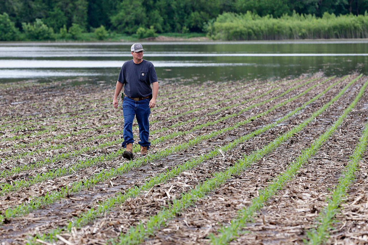 Jeff Jorgenson looks over a partially flooded field he farms near Shenandoah, Iowa, on Wednesday. About a quarter of his land was lost this year to Missouri River flooding, and much of his remaining property has been inundated with heavy rain and water from the neighboring Nishnabotna River. (AP Photo/Nati Harnik)