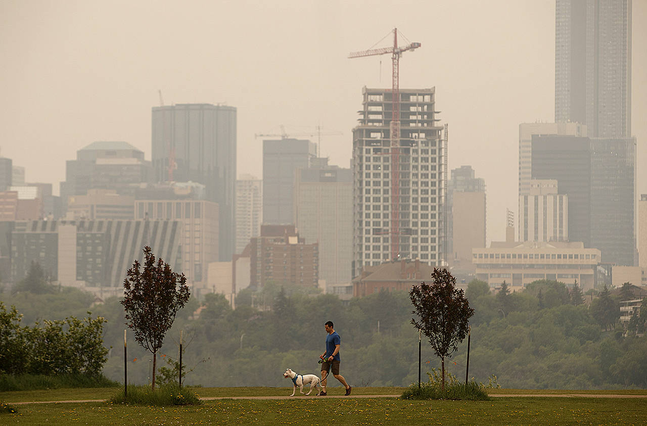 A person walks their dog as smoke blankets the city from nearby wildfires, in Edmonton, Alberta, Canada on Thursday. More people are being forced from their homes as several wildfires rage out-of-control in northern Alberta and blanket areas to the south in an acrid haze. (Jason Franson/The Canadian Press via AP)