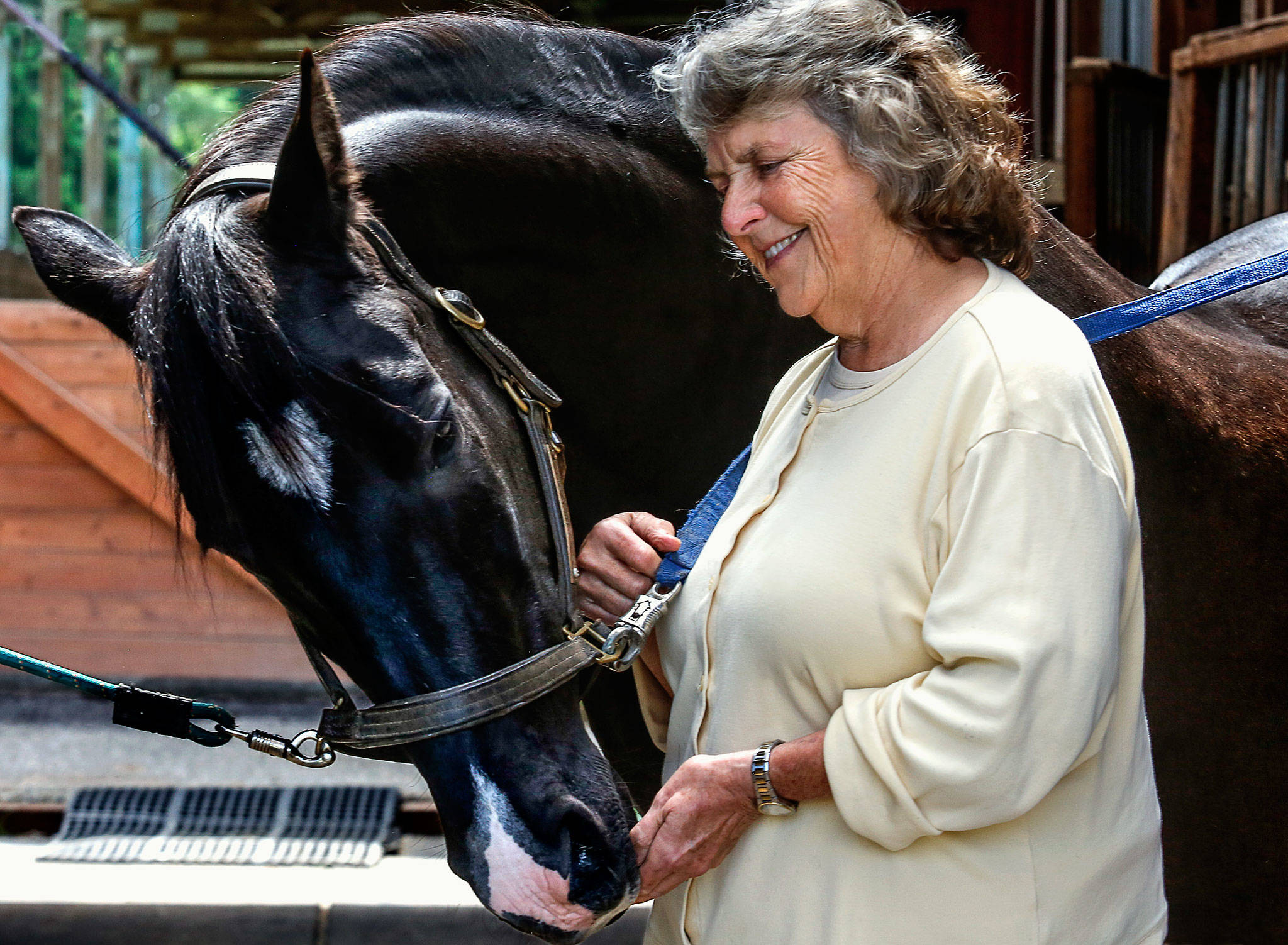 Dr. Suzanne Poppema’s horse, Lochinvar takes a treat from her hand, Friday at a Snohomish riding facility where she keeps him and rides him regularly. Poppema, 71, was an abortion provider before retiring five years ago. She has been a long-time advocate for womens’ access to abortion. She is worried about rights currently threatened. (Dan Bates / The Herald)