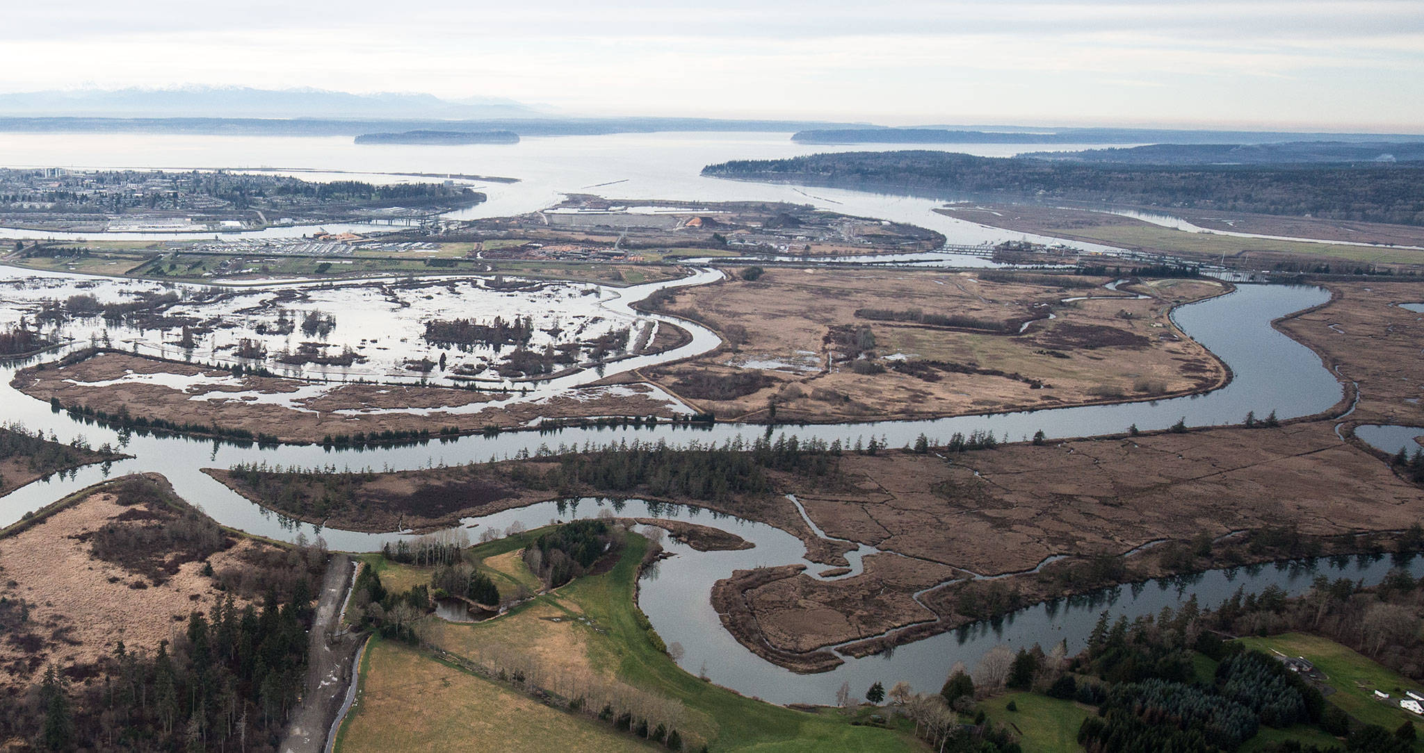 The ecological goal for Blue Heron Slough, upper right, is to restore tidal channels, marsh, and mud flats by breaching old agricultural dikes as seen at Smith Island at left. Shot on Jan. 15. (Andy Bronson / The Herald)