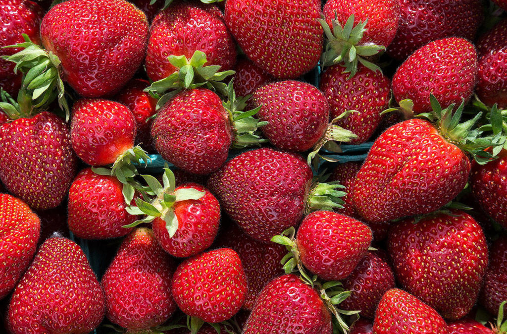 Strawberries in a flat ahead of the opening of strawberry season at Biringer Farm on Thursday in Arlington. (Andy Bronson / The Herald)
