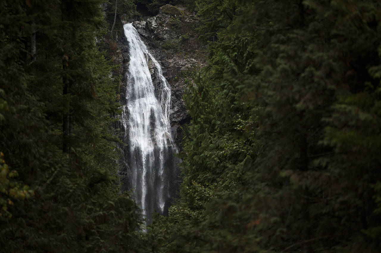 The Upper Falls is visible through trees at Wallace Falls State Park near Gold Bar on Sept. 17, 2015. (Ian Terry / Herald file)