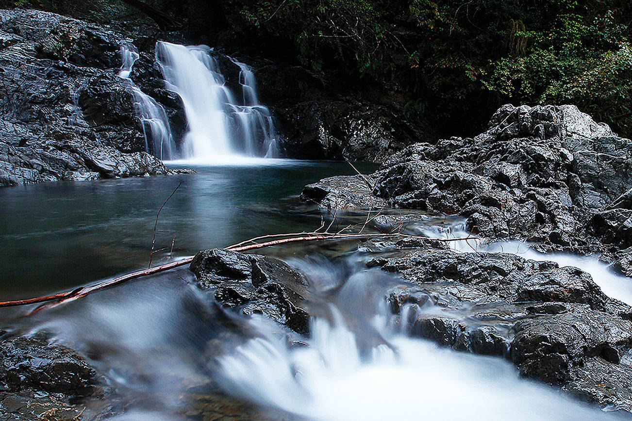 Water cascades down the Lower Falls near the Woody Trail at Wallace Falls State Park near Gold Bar on Sept. 17, 2015. A nearly six mile round-trip to the park’s Upper Falls offers hikers an array of vistas on a well maintained trail. (Ian Terry / Herald file)