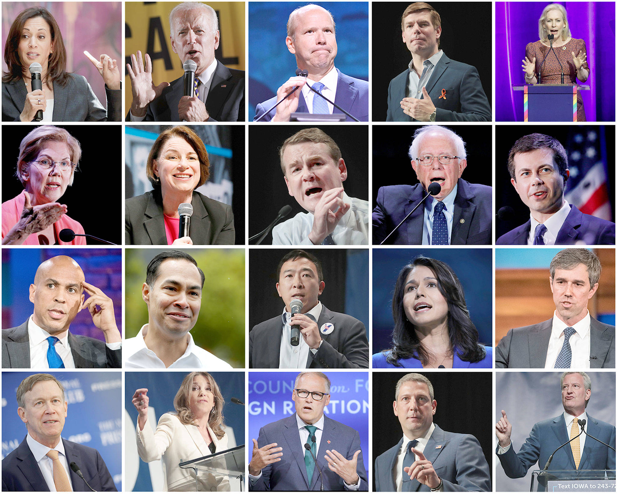 The Democratic candidates for president. (Getty Images/photo collage by TNS)