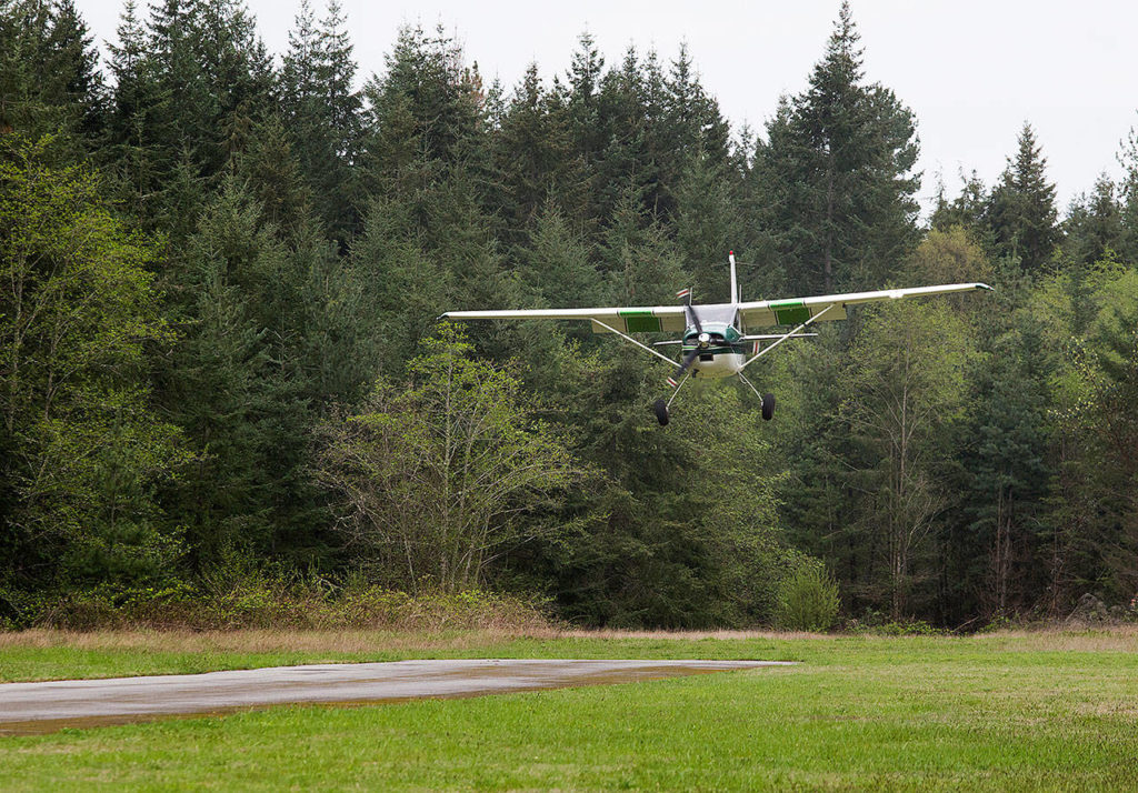 Todd Bohon comes in for a landing in his Cessna 180 at the Whidbey Airpark near Langley.
