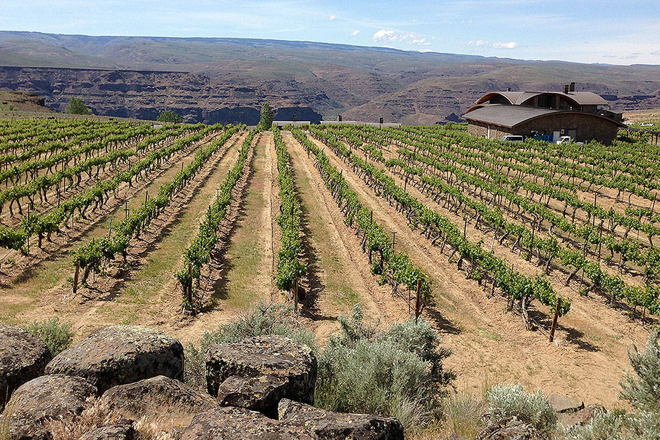 Ancient Lakes’ cooler climate ideally suited for white wines