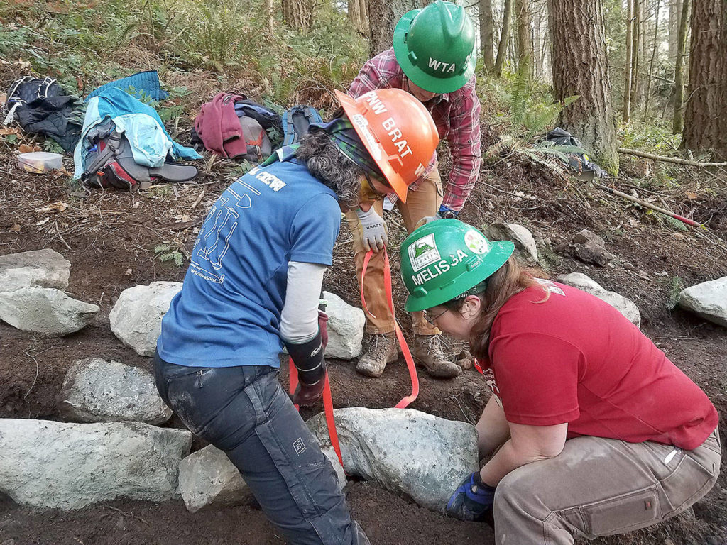 An all-women work party made up of Washington Trails Association volunteers works to make the Darvill Trail less muddy. (Barbara Budd / Washington Trails Association)
