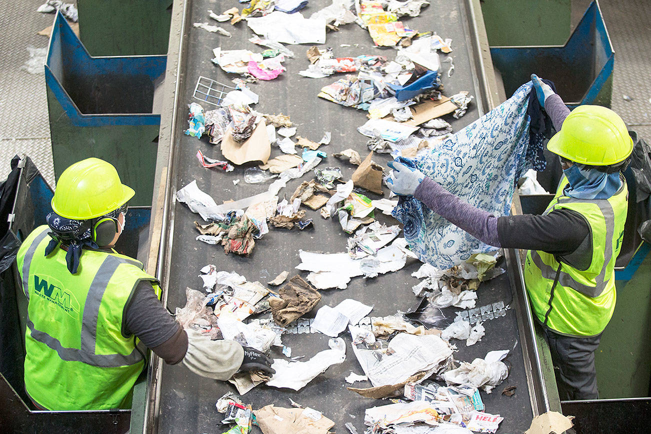 Recycling Corps interns can help you relearn how to recycle