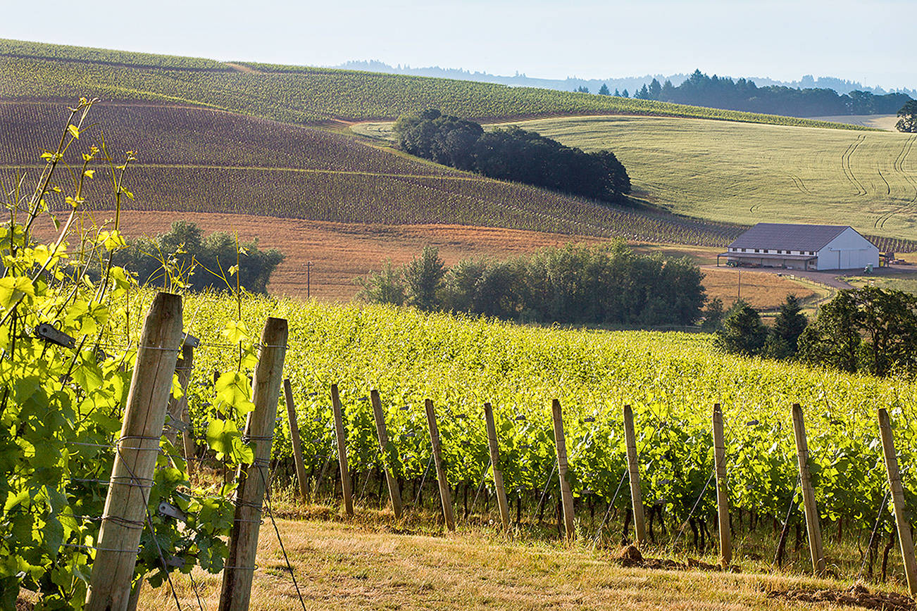 Great wine at great prices abounds in the Pacific Northwest