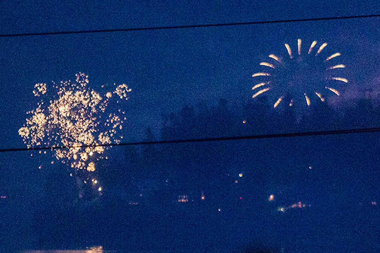 Snohomish County to ask voters: Do you want a fireworks ban?