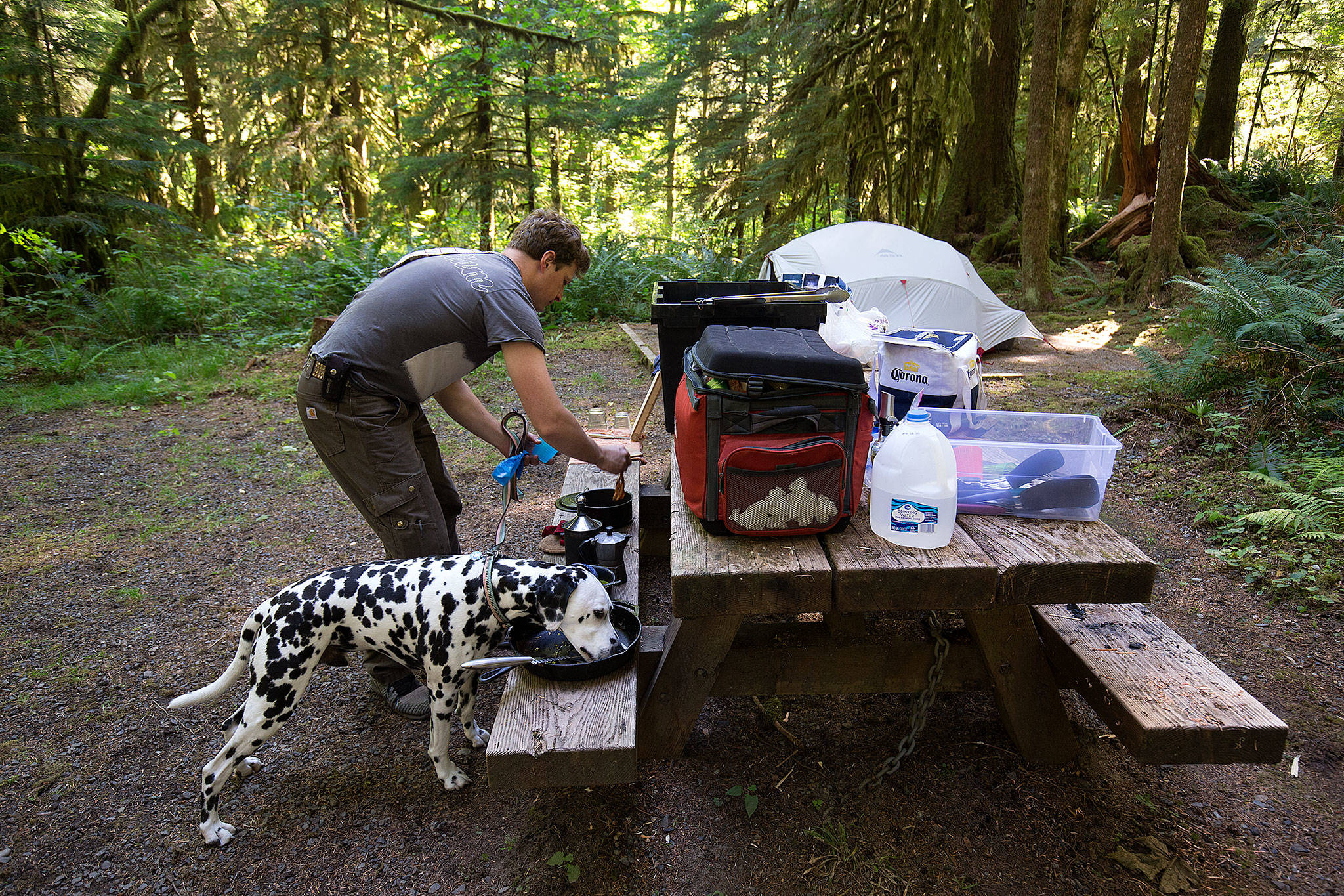 Drew Bakgaard cleans up after breakfast while his dog Luka licks a skillet — which Bakgaard calls “the pre-rinse cycle” — while camping at Gold Basin Campground on Friday. (Andy Bronson / The Herald)
