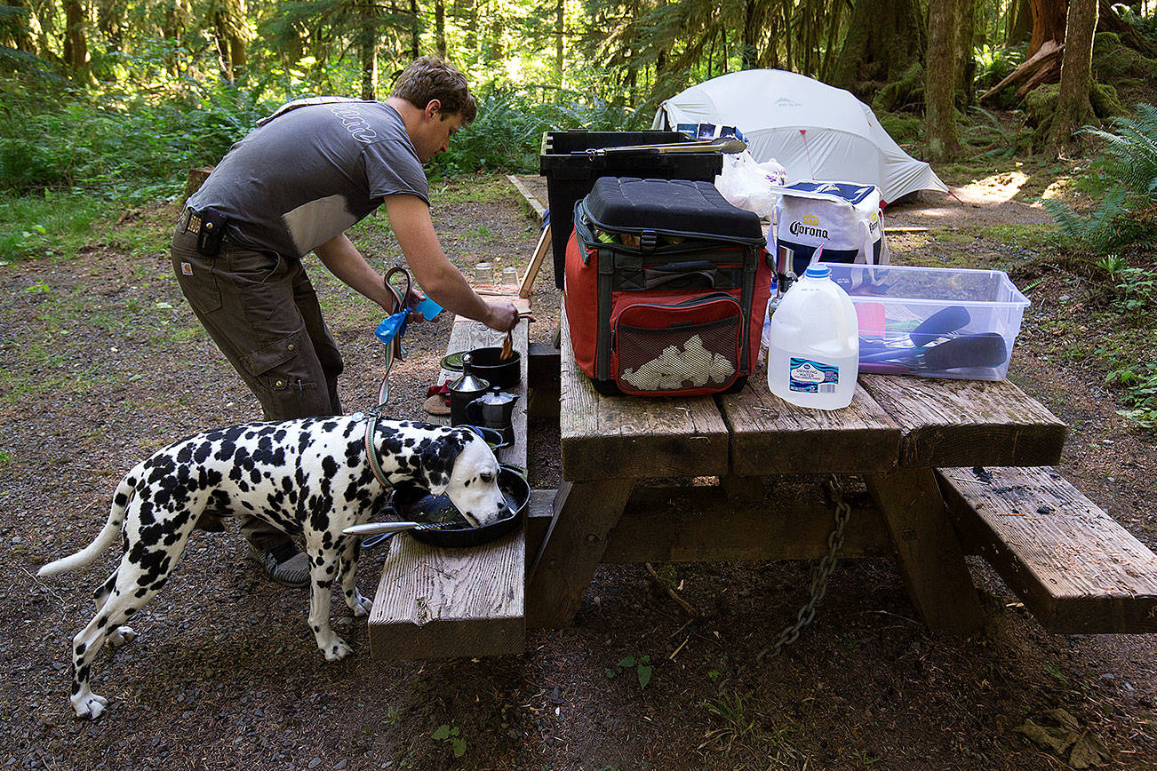 Drew Bakgaard cleans up after breakfast as his dog Luka licks a skillet, which Drew calls “the pre-rinse cycle,” while camping at Gold Basin Campground on Friday. (Andy Bronson / The Herald)
