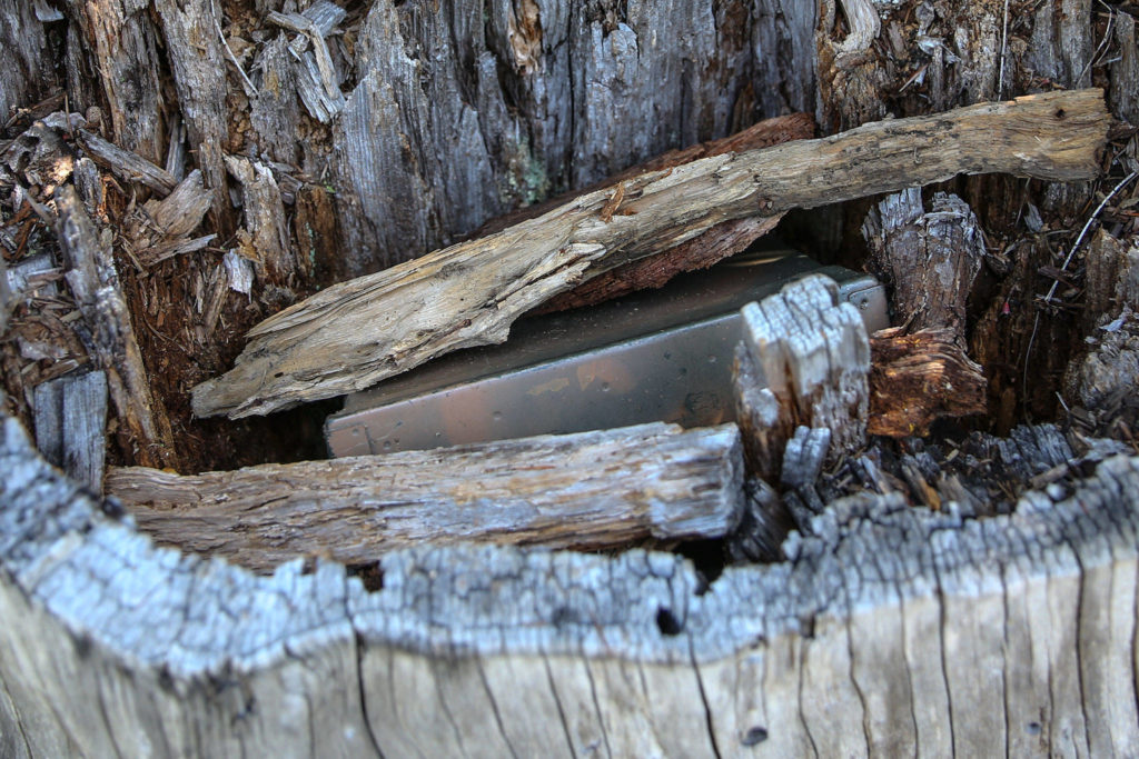 The search party also found three other geocaches on the Mount Margaret trail. (Kevin Clark / The Herald)

