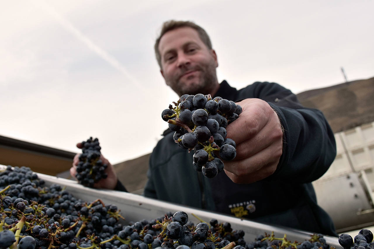 Richard Batchelor grew up in New Zealand and made wine in the Napa Valley for a decade prior to arriving at Maryhill Winery in 2009. (Photo courtesy of Maryhill Winery)