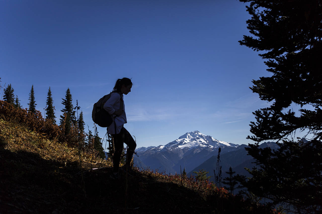 Montana Hawksford takes a break on during a hike to Green Mountain Lookout in October 2018 in Darrington. (Olivia Vanni / Herald file)