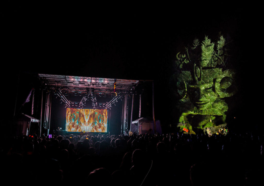 Tipper perfoms with a special projection mapped visual display during the final day of Summer Meltdown on Sunday, Aug. 4, 2019 in Darrington, Wash. (Olivia Vanni / The Herald)