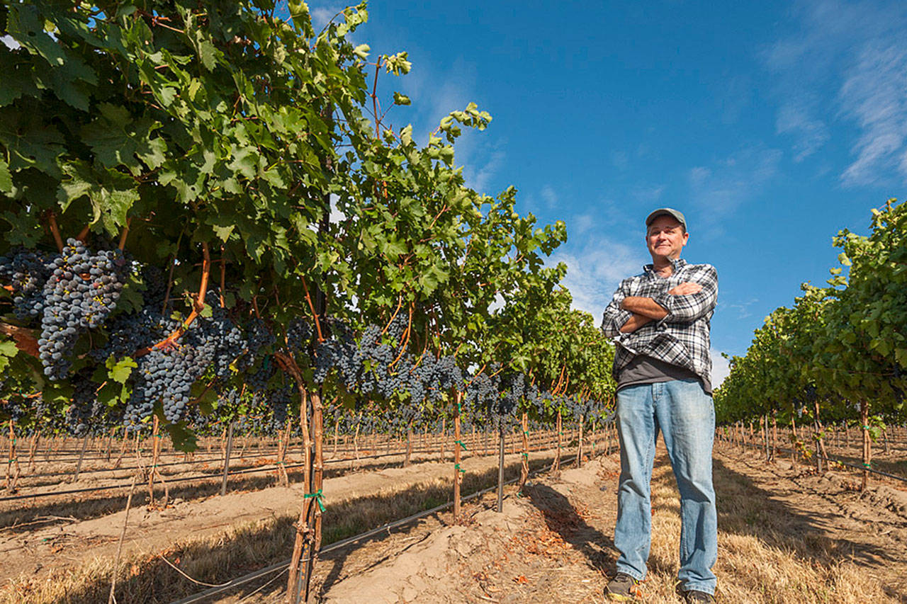 John Freeman of Browne Family Vineyards and historic Waterbrook Winery is one of the most talented winemakers in the Walla Walla Valley. (Richard Duval Images)