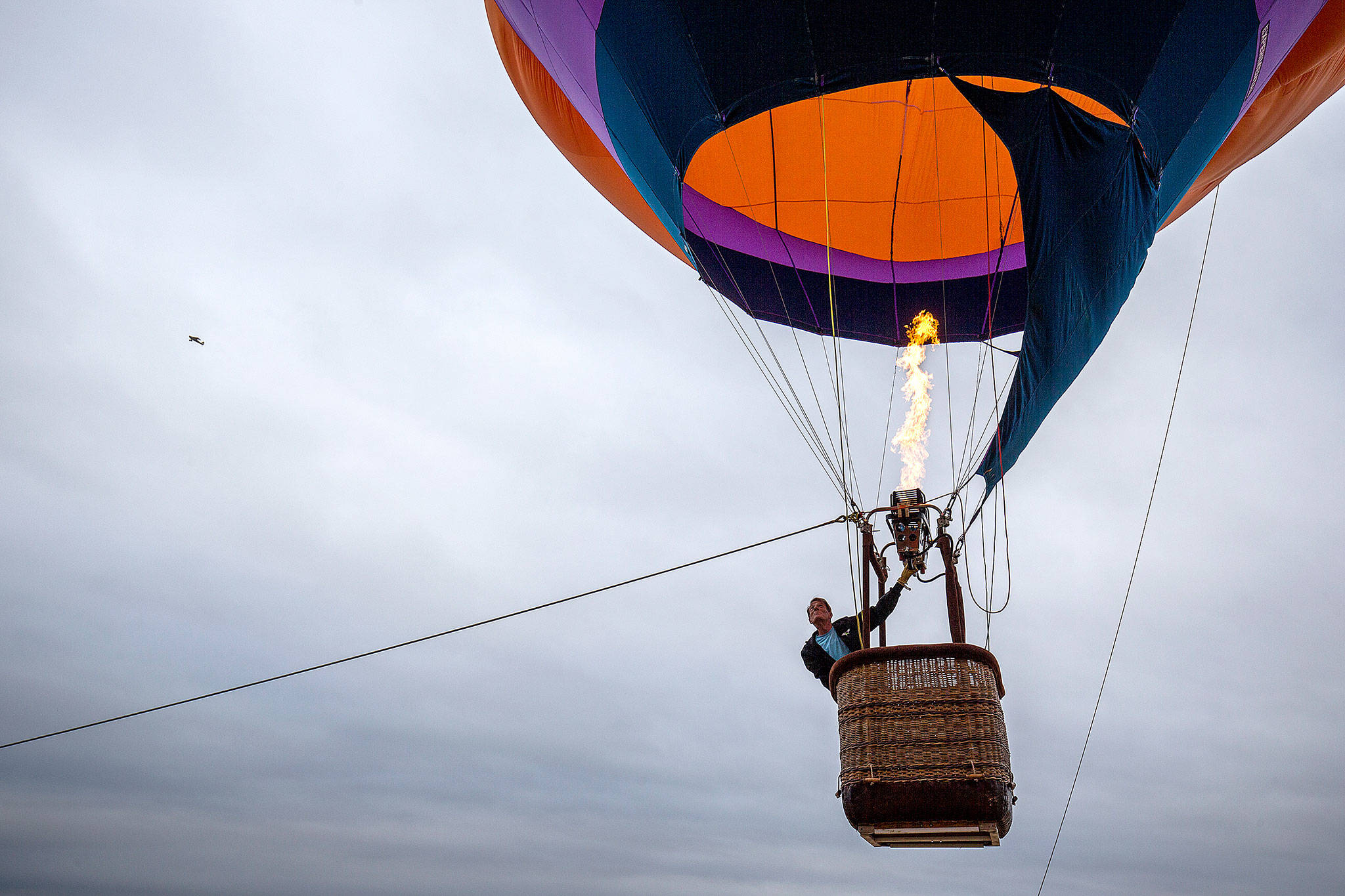 As a plane flies off in the distance, pilot Phil Ayers watches as he inflates his Roadrunner balloon for a tethered flight for the Arlington Fly-In on Friday in Arlington. (Andy Bronson / The Herald)