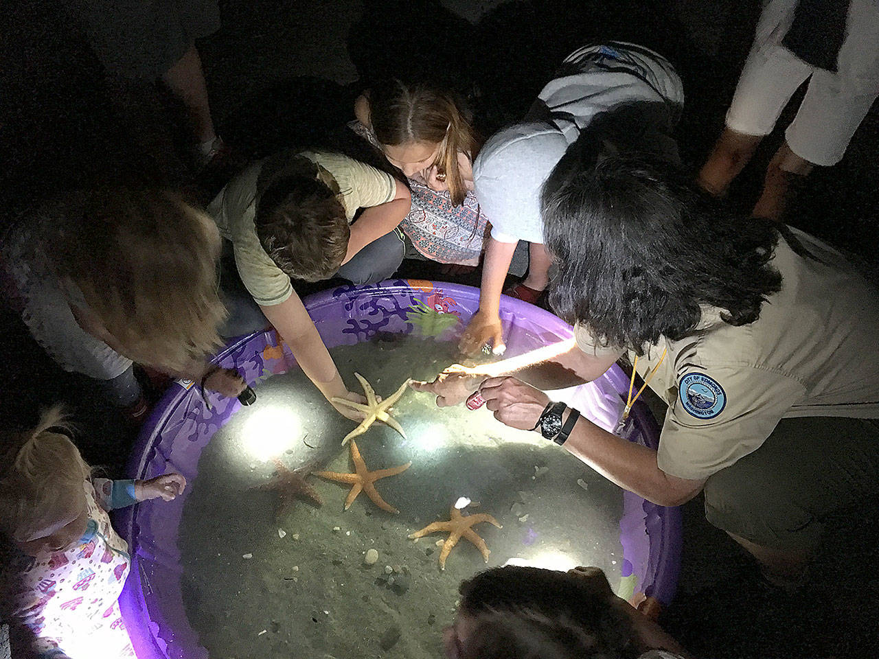 Wading pools are set up on the beach at a Moonlight Beach Adventure in Edmonds to show see creatures such as sea stars brought to the surface by divers. (City of Edmonds)