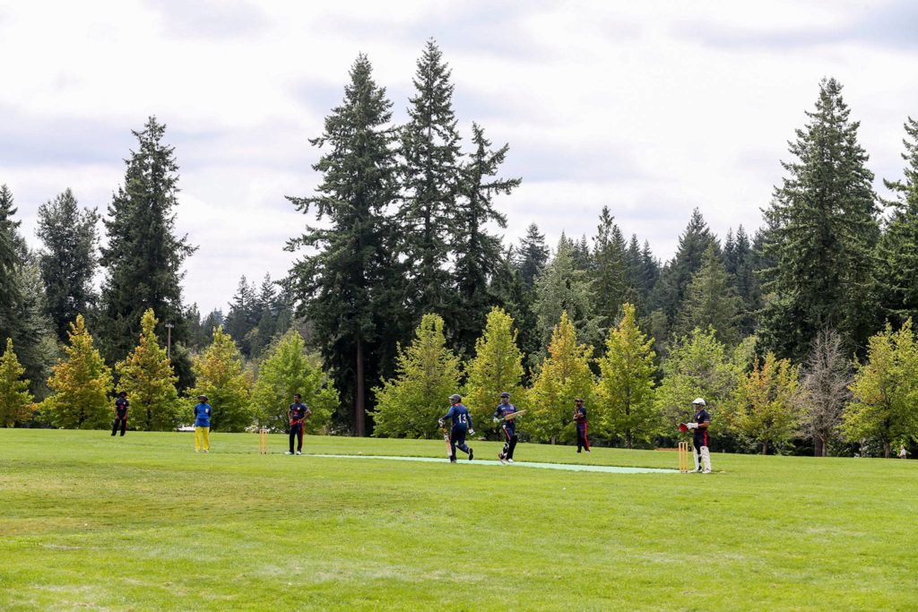 A NorthWest Cricket League match is played on Aug. 18 at McCollum Park in Everett. (Kevin Clark / The Herald)
