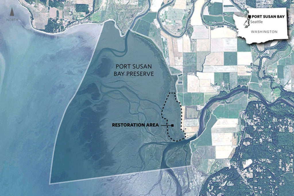 This map shows The Nature Conservancy’s 150-acre project site at Port Susan Bay. (The Nature Conservancy)
