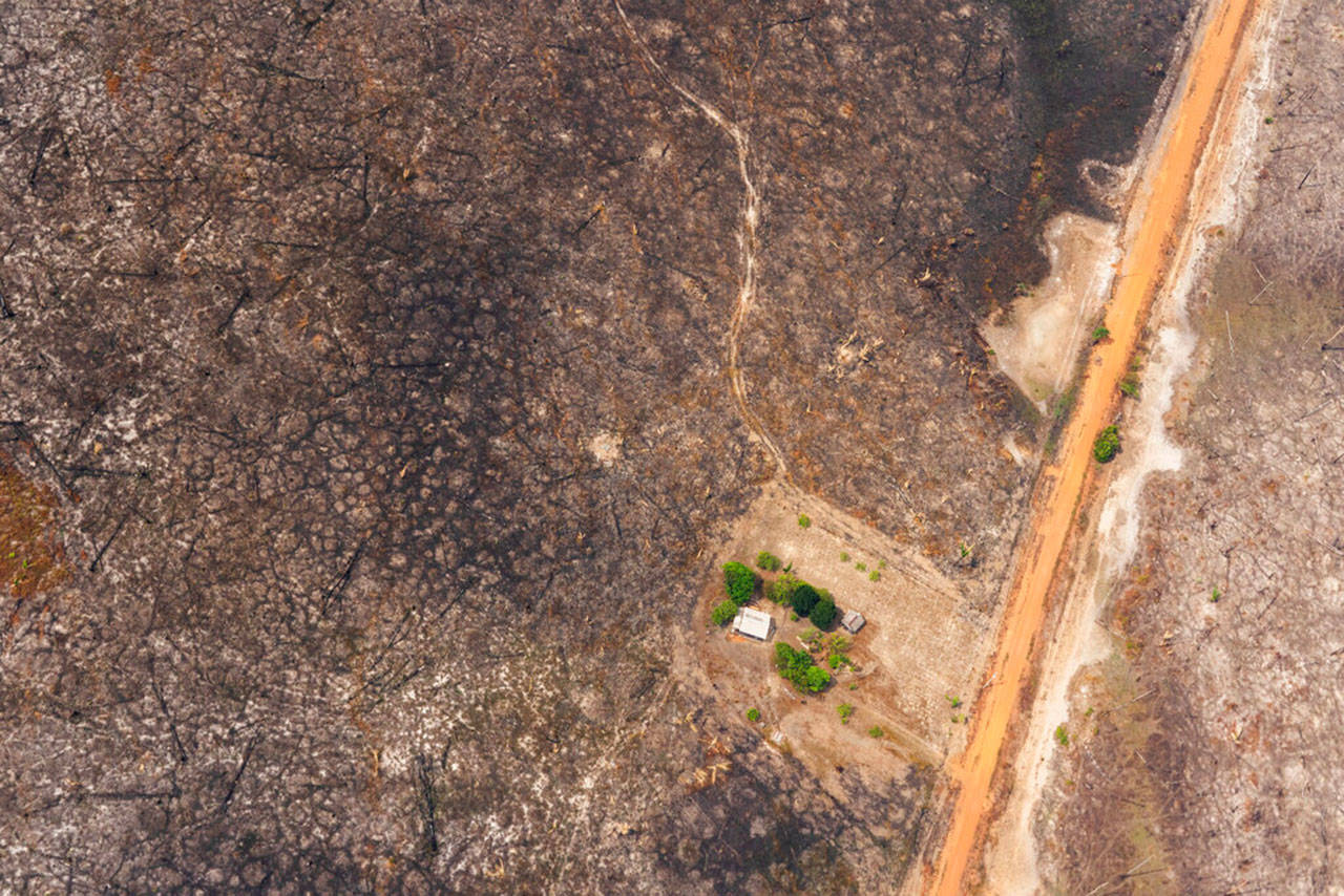 A house is seen surrounded by land scorched by wildfires near Vila Nova Samuel, Brazil, Aug. 27. Lingering smoke in the Amazon caused concern Tuesday among Brazilians who say that respiratory problems, particularly among children and the elderly, have increased as fires in the region rage. (Victor R. Caivano / Associated Press)