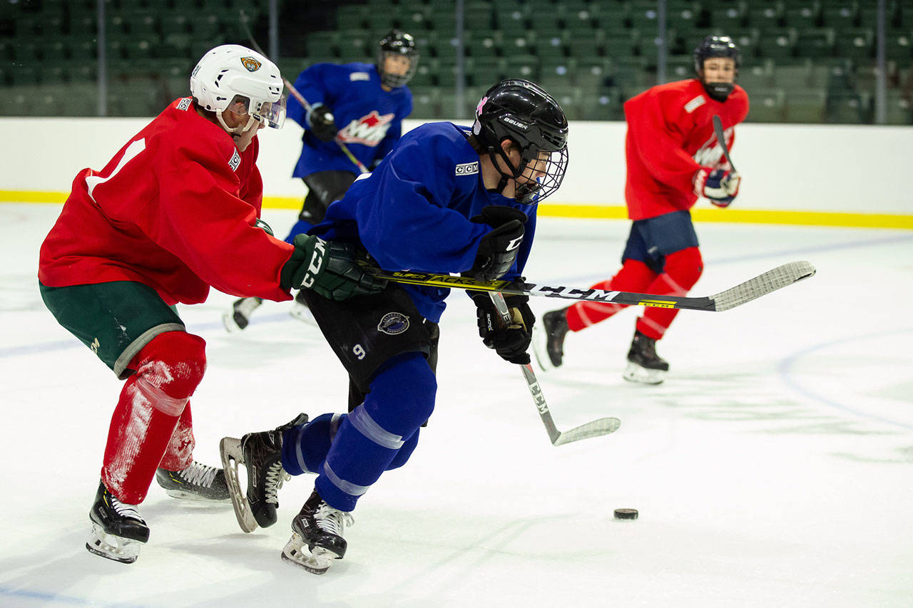 Brendan Lee (blue) jockeys for position with Silvertips defenseman Dylan Anderson during a training camp scrimmage. (Chris Mast photo)