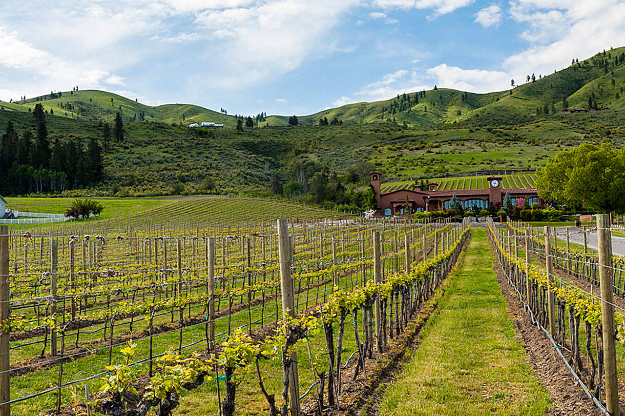 Tsillan Cellars, a short drive from Chelan, pulls from estate vines overlooking Lake Chelan to produce award-winning wines. (Richard Duval Images)