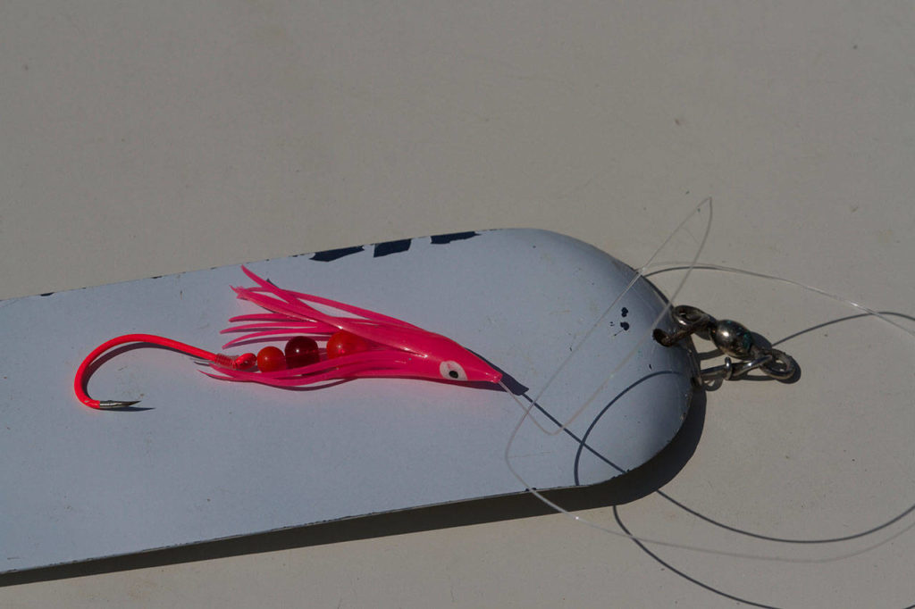 Popular pink salmon trolling rigs involve a white dodger 20 inches ahead of a hot pink squid lure. (Mike Benbow photo)
