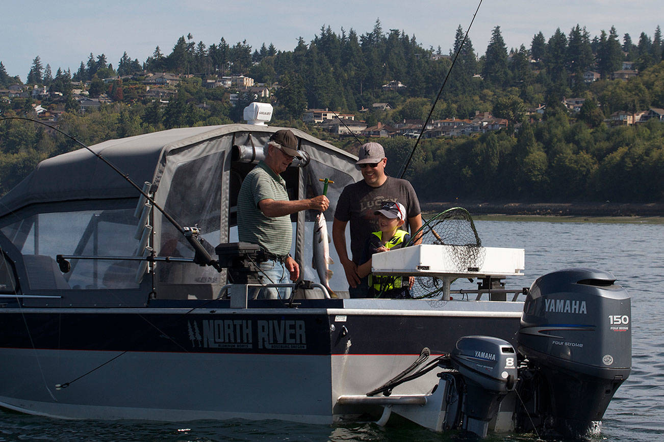 Local anglers get chance to fish for Pink salmon