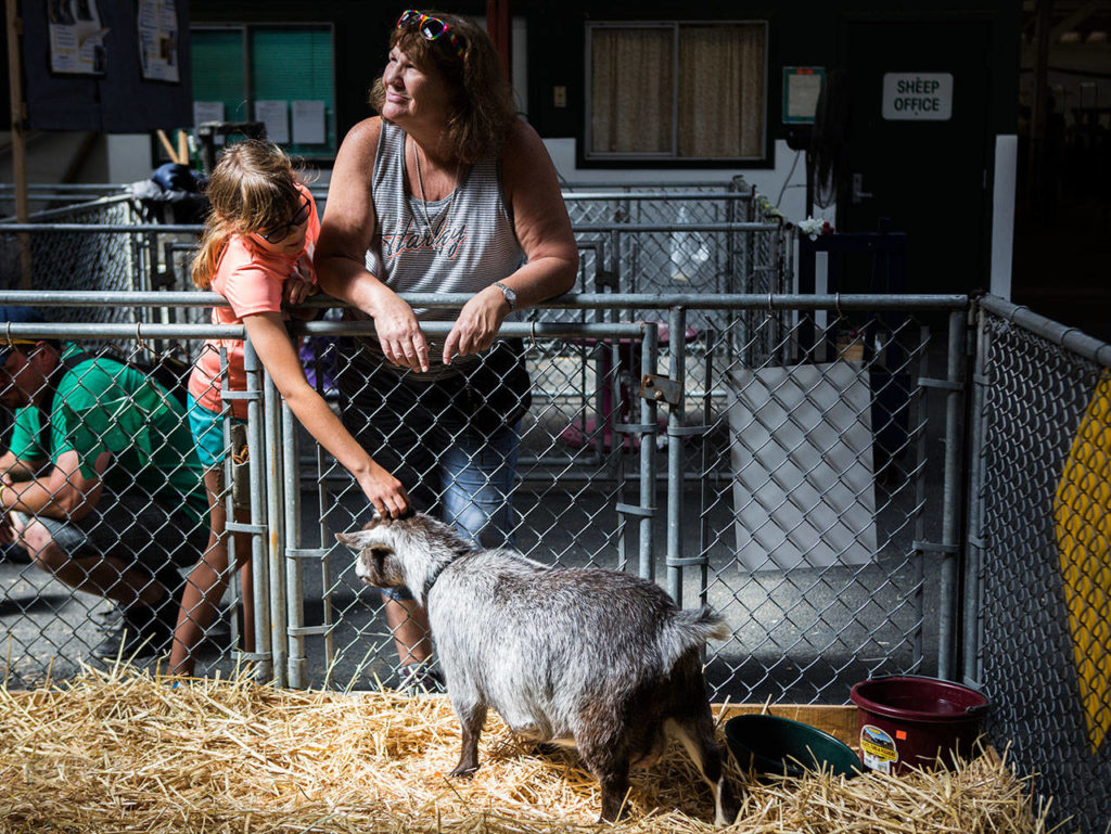 Alexis Powers, 11, and Terri Powers pet a pygmy goat at the Evergreen State Fair on Sunday, Sept. 1, 2019 in Monroe, Wash. (Olivia Vanni / The Herald)
