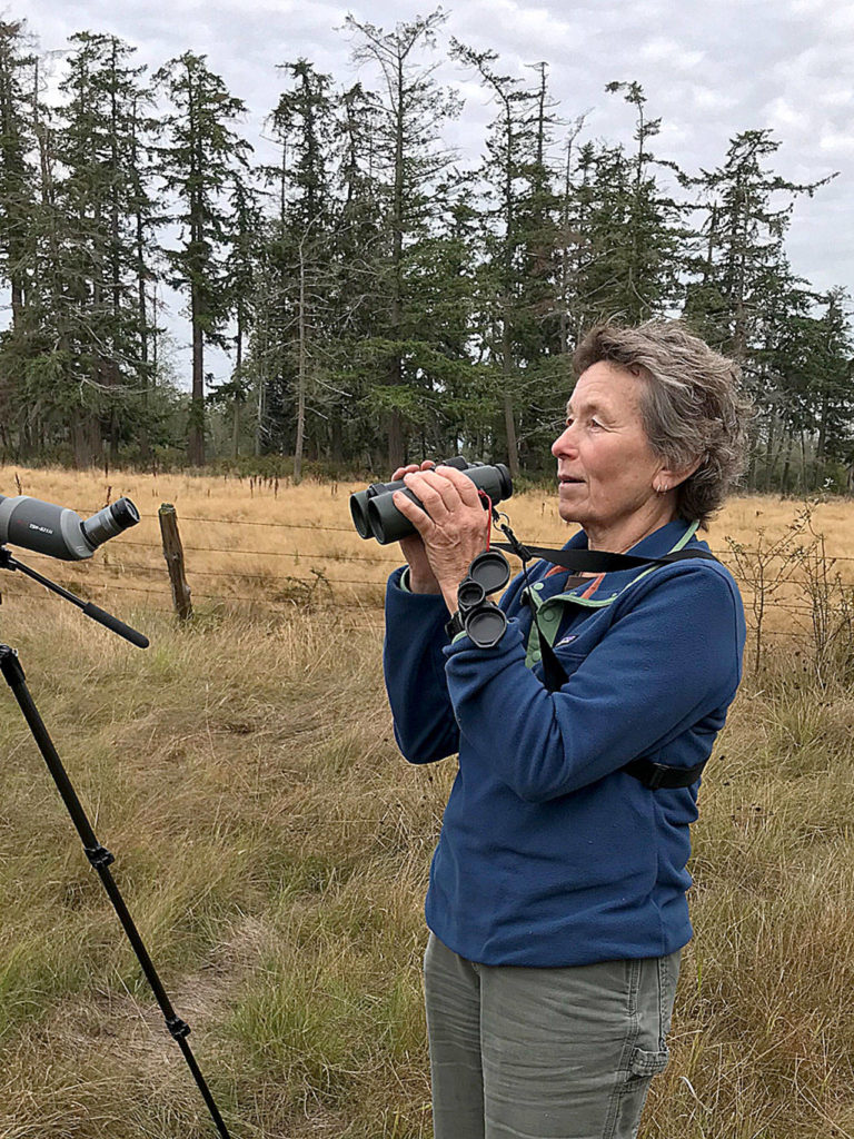 Sue Cottrell, who lives in Bellingham, has been studying raptors in northwest Washington for 30 years. (Andrea Warner)
