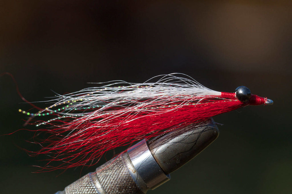 A Clouser baitfish pattern. (Mike Benbow photo)
