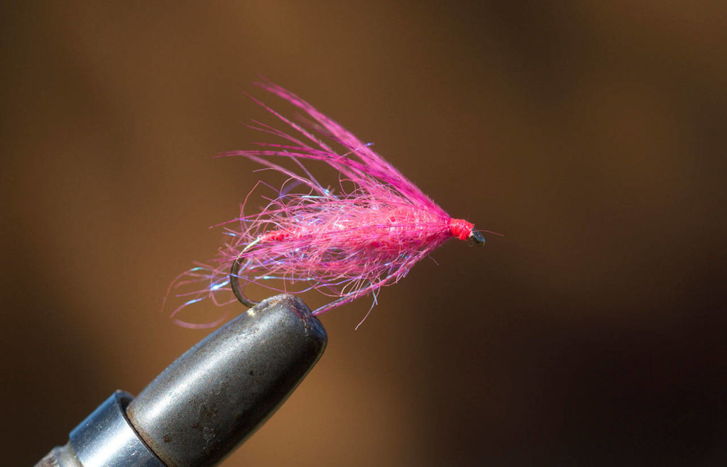 A pink wet fly. (Mike Benbow photo)
