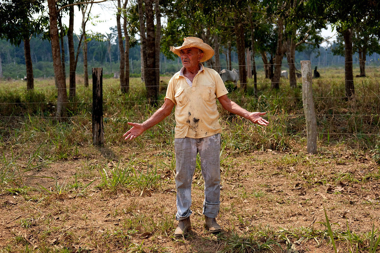 Antonio Lopes da Silva, a 75-year-old livestock farmer, says the Amazon must be protected, but he also believes that that regulated fires to clear land for pasture are needed for the region and Brazil, to prosper amid a struggling economy. (AP Photo/Luis Andres Henao)