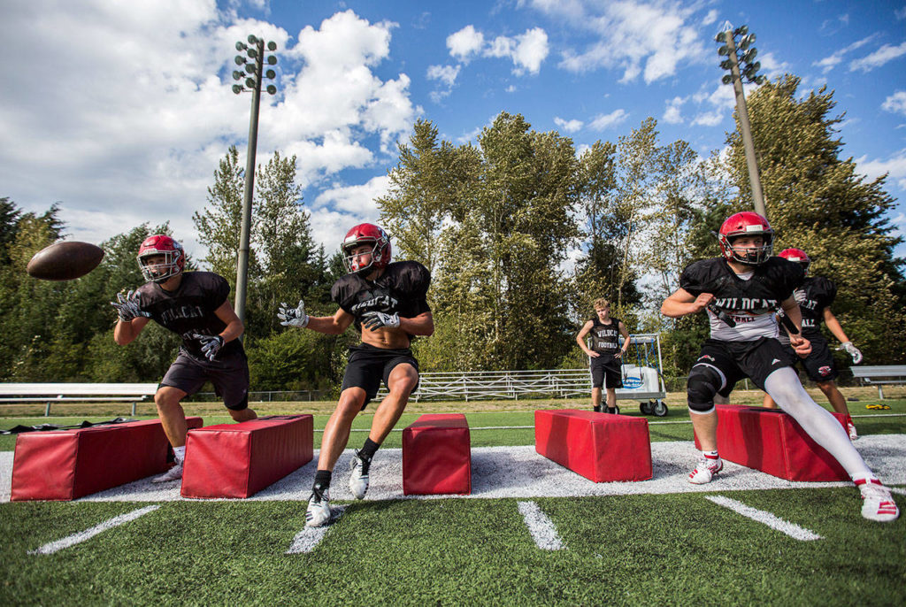 The Wildcats are looking to bounce back this season after their streak of three consecutive state semifinal appearances was snapped with last year’s Week 10 playoff loss. (Olivia Vanni / The Herald)
