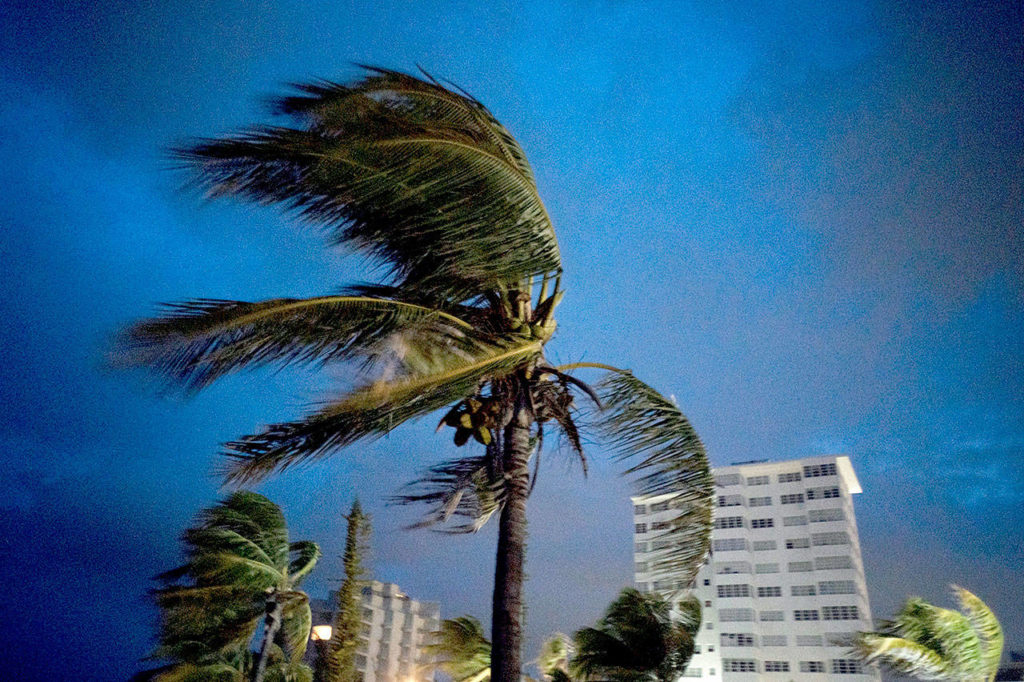 Strong winds move the palm trees at the moment of arrival of Hurricane Dorian in Freeport, Grand Bahama, Bahamas, on Sunday. (AP Photo/Ramon Espinosa) 
