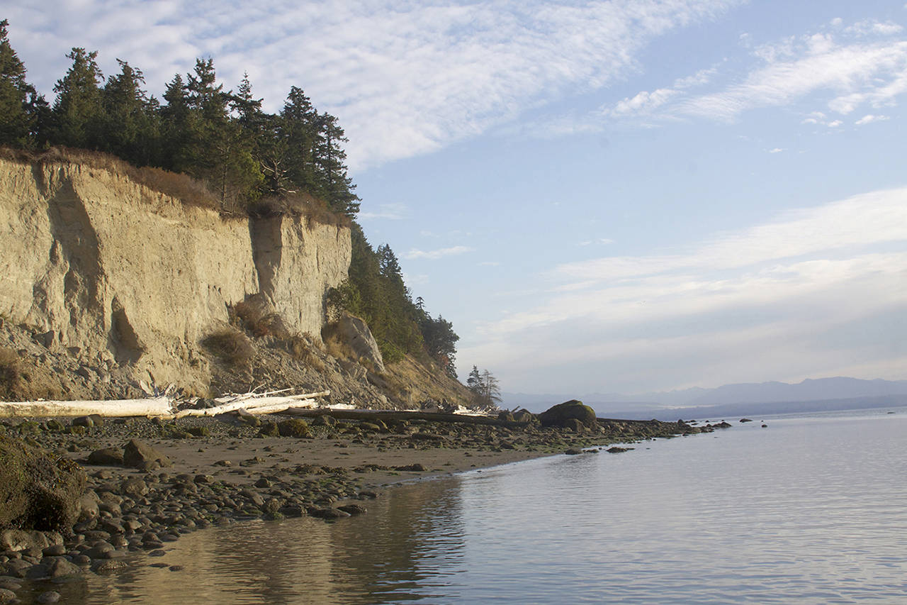 The 167-acre Barnum Point County Park opened to the public in late August. (Whidbey Camano Land Trust)
