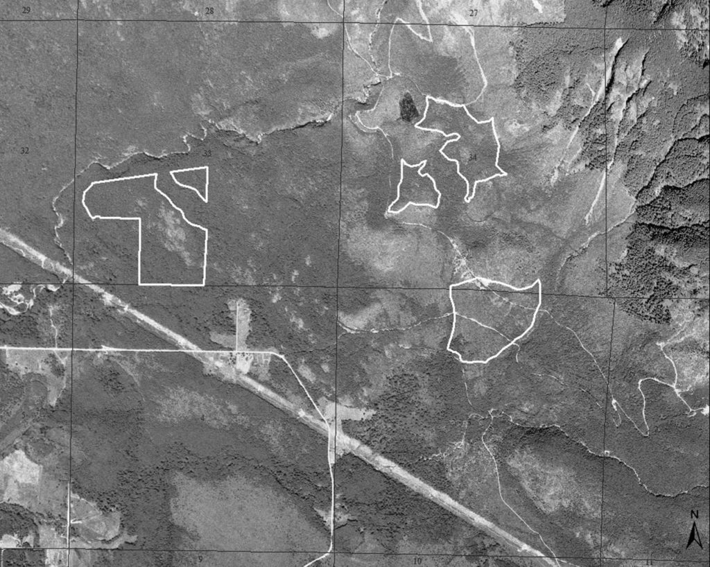 This aerial photo from 1954 shows areas of the state Department of Natural Resources’ proposed Middle May Timber Harvest when the area was in the process of regrowing after logging and fire. The agency has been trying to auction off timber in the area for more than a decade, previously as the Singletary harvest, and hopes that a new plan will strike the right compromise. The agency estimates the trees in the area range from 60 to 80 years old. (Washington State Department of Natural Resources)
