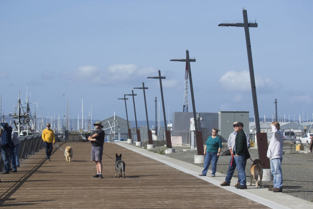 From the new pier, people walk dogs while watching the Grand Avenue Park Bridge slowly rotate into place on Wednesday in Everett. (Andy Bronson / The Herald)
