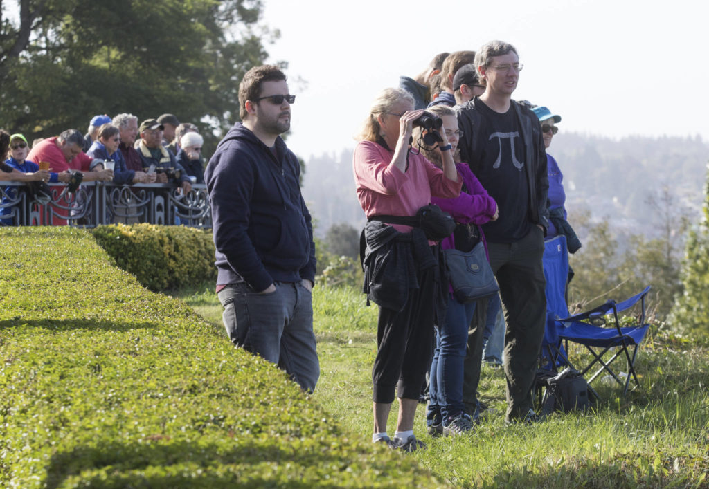 For a better view, some people watch from in front of the hedges at Grand Avenue Park on Wednesday in Everett. (Andy Bronson / The Herald)
