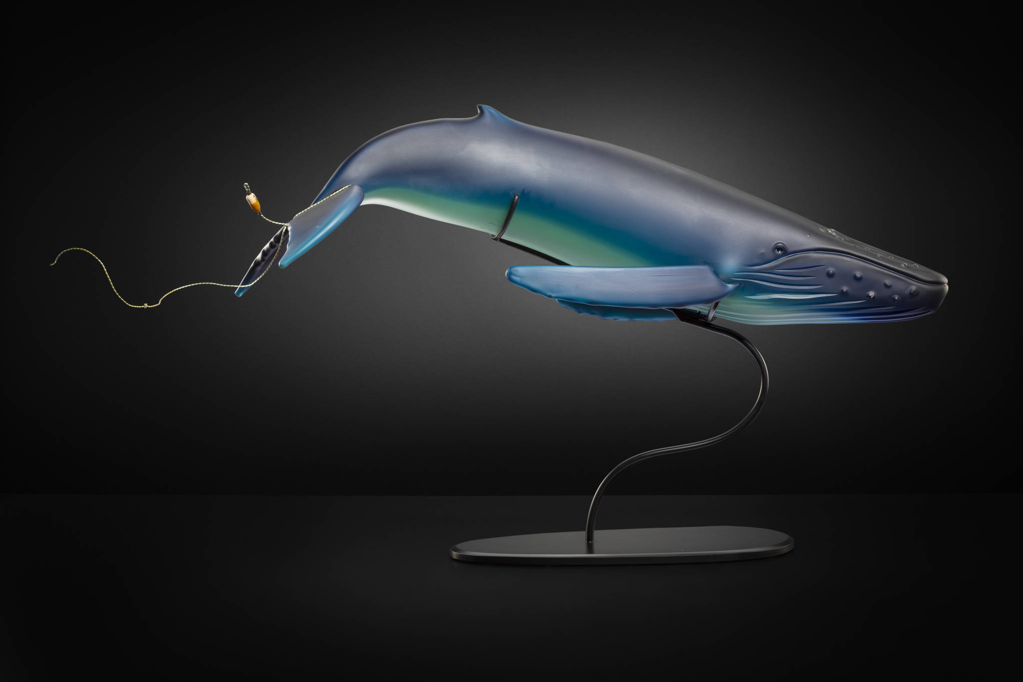 “Entangle” a blue whale by Raven Skyriver, one of 60 pieces by Pacific Northwest glass artists at the Schack Art Center. (Peter Kuhnlein)