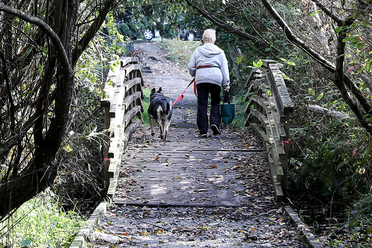 The city of Lynnwood received $2.5 million from Sound Transit to redevelop a portion of the 1.5 mile Scriber Creek Trail, which links Wilcox Park at Highway 524 with the transit center. (Lizz Giordano / The Herald)