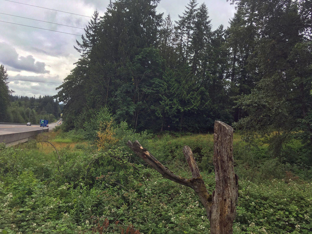 The property on the southwest corner of Highway 9 and 20th Street SE in Lake Stevens is seen here in July. (Sue Misao / The Herald)
