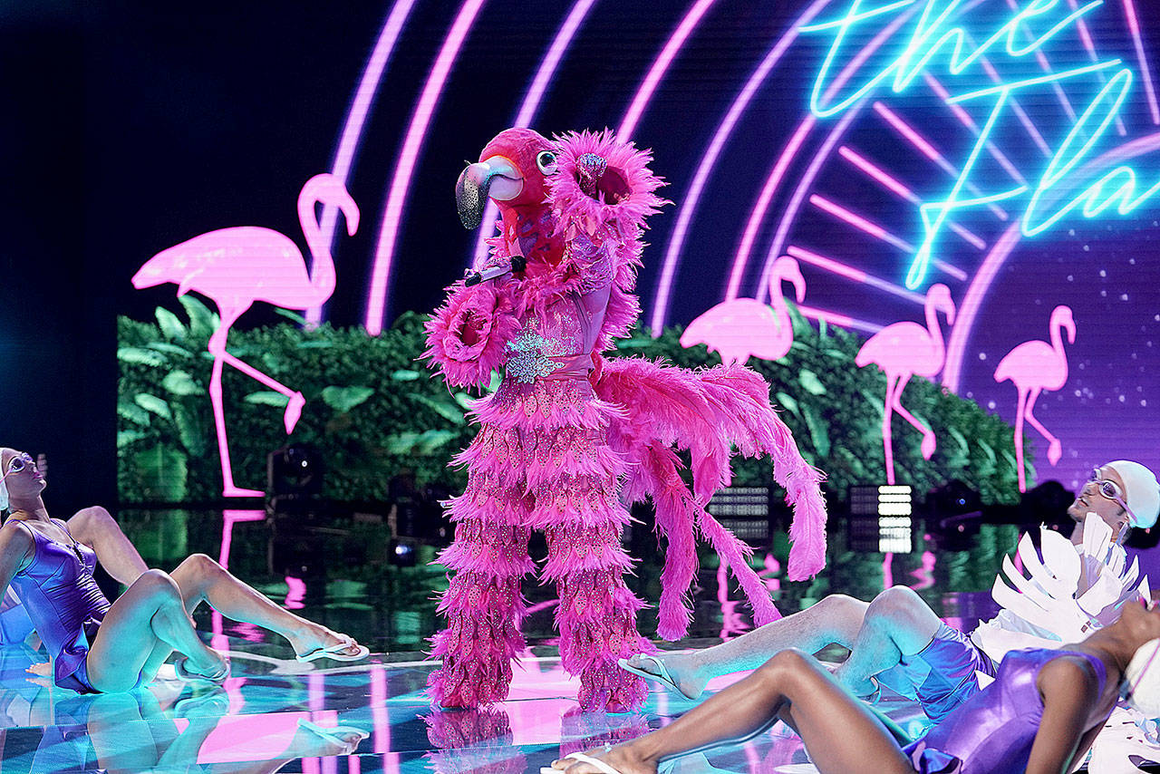 The Flamingo wowed the judges on “The Masked Singer.” (Michael Becker / Fox )